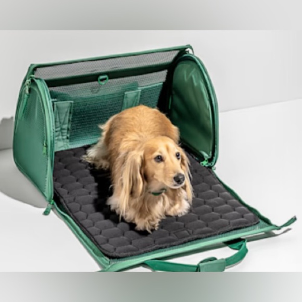 Wild One Pet Travel Carrier